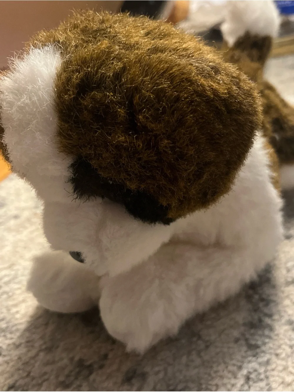 Retired St Bernard Douglas cuddle toy. Vintage